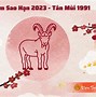 Tử Vi Tuổi Tân Mùi Sinh Năm 1991 Nữ Mạng